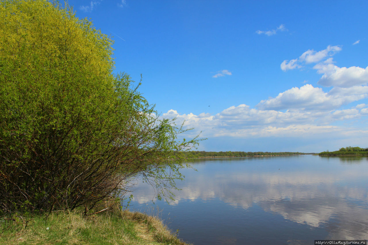 Яндекс.Навигатор: reality