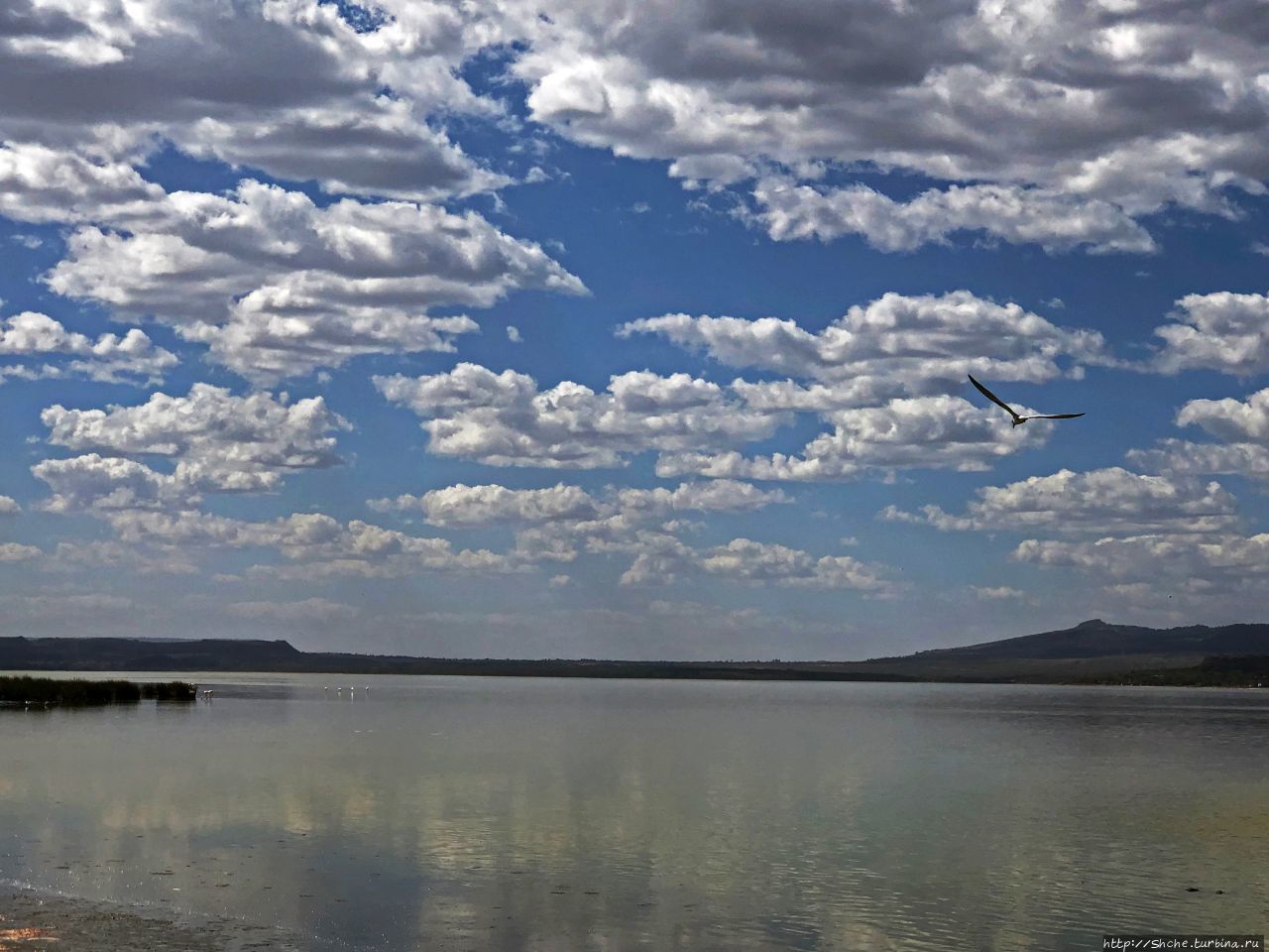 Озеро Элементита / Lake Elementaita