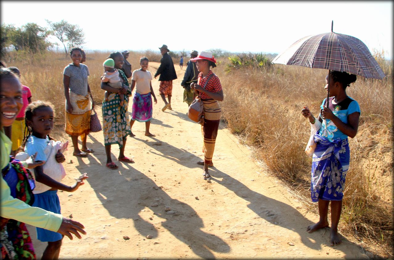 Мадагаскарские хроники — возвращение в Мурундаву Белу-Цирибихина, Мадагаскар