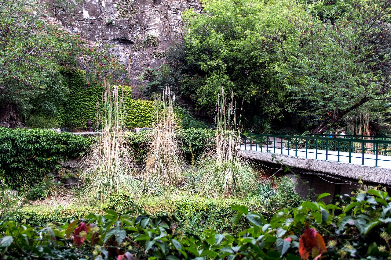 Ботанический сад. Тбилиси Тбилиси, Грузия