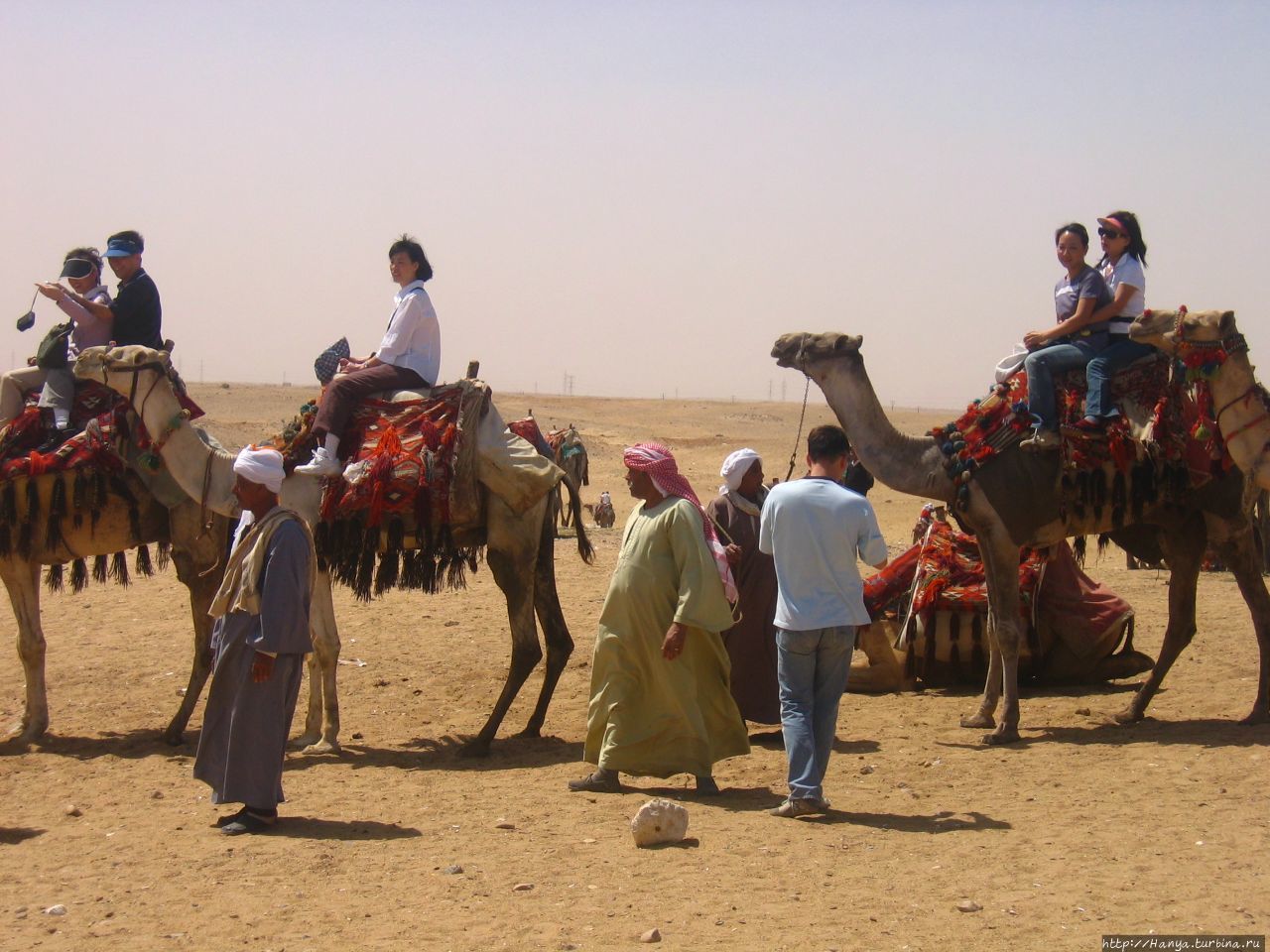 Поездка на верблюде