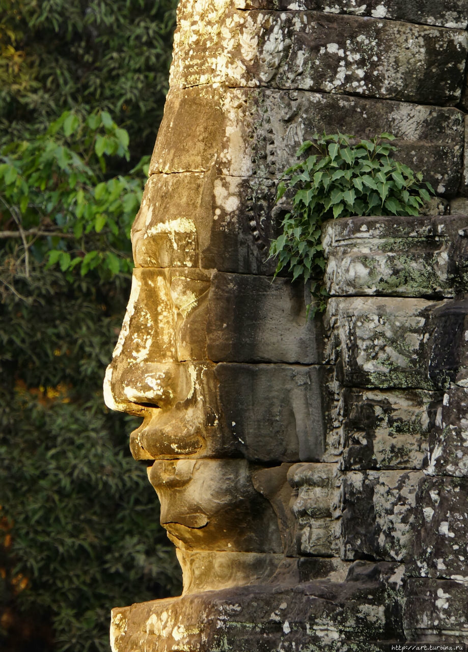 оживают Ангкор (столица государства кхмеров), Камбоджа