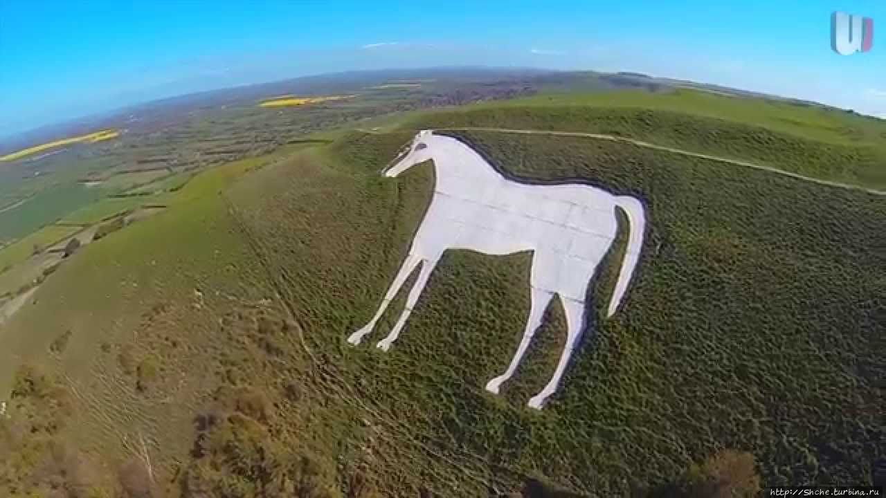 Westbury White Horse, фото из интернета