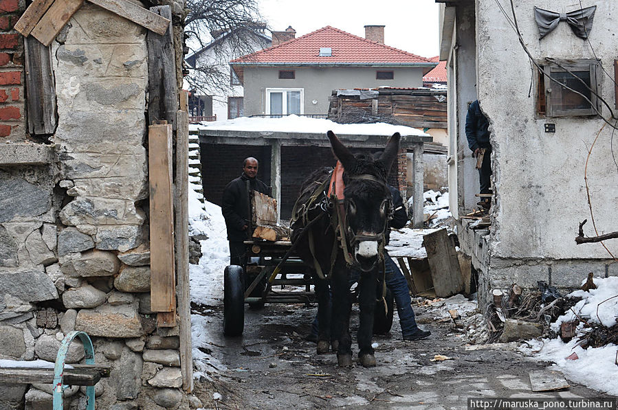 В центре можно встретить и такое:)