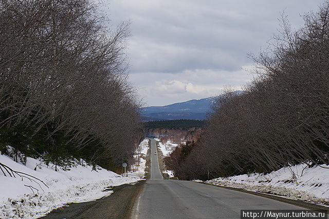 Сахалин. Турция