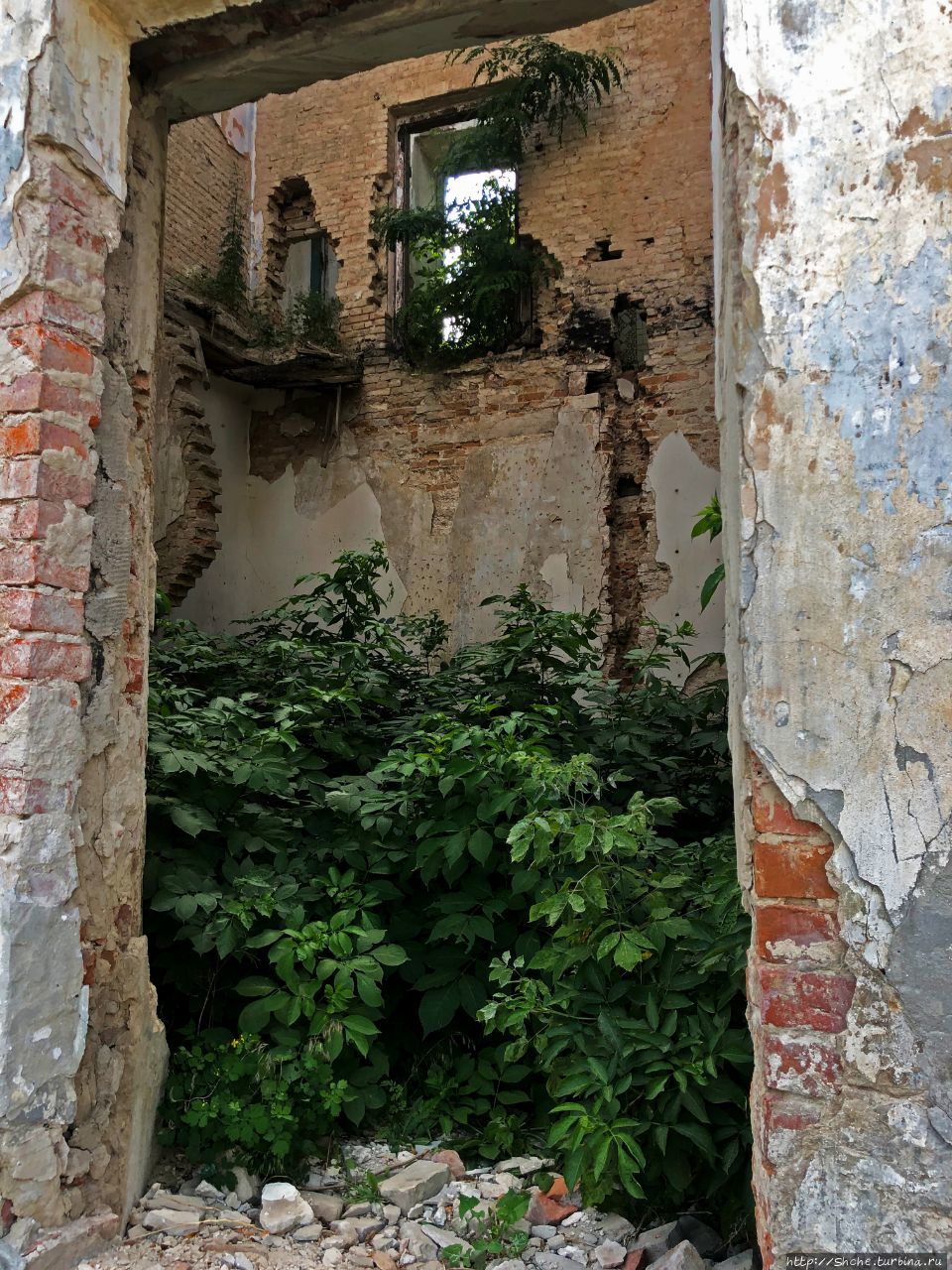 Клеваньский замок Клевань, Украина