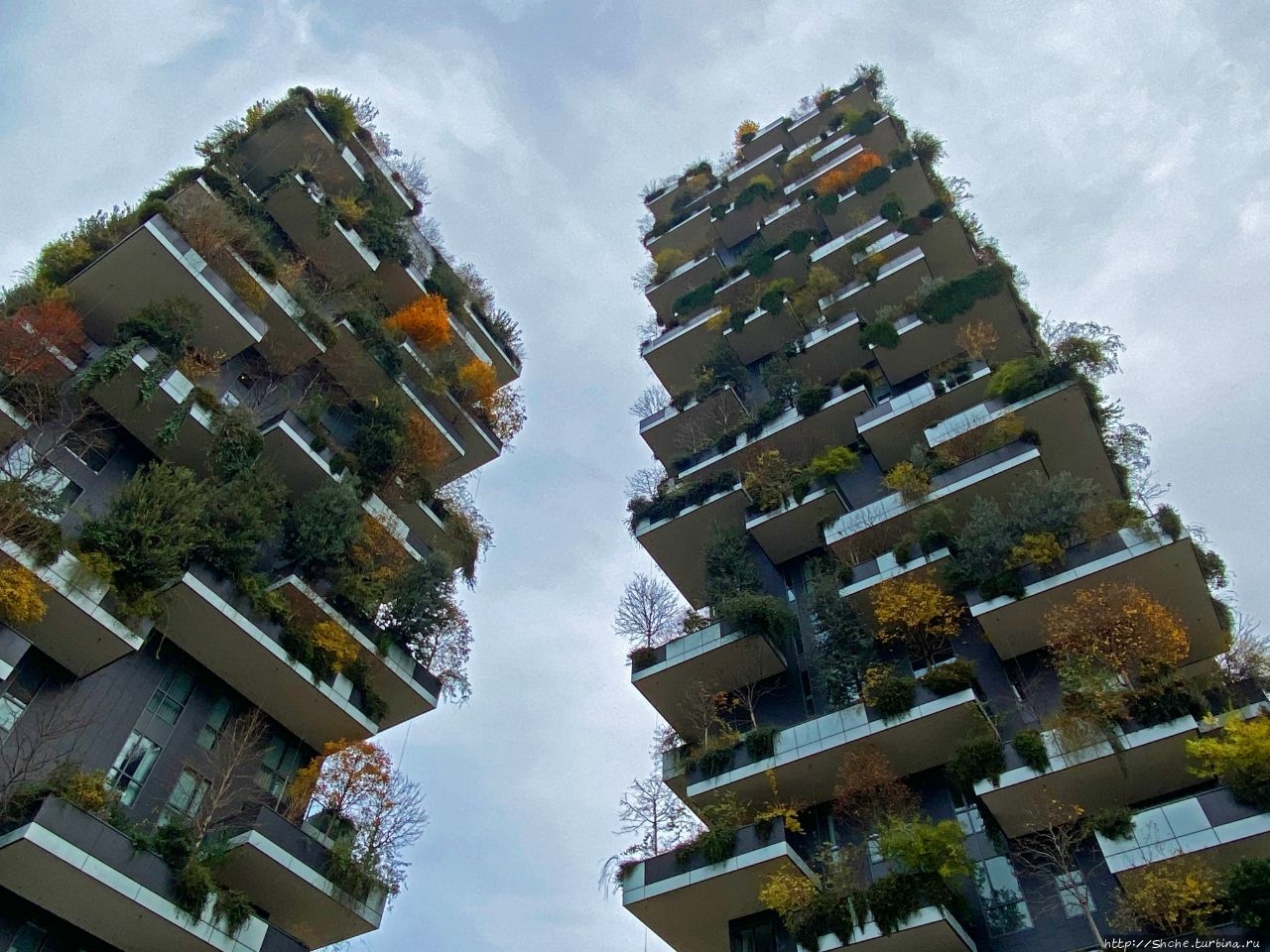 Вертикальный лес / Bosco Verticale