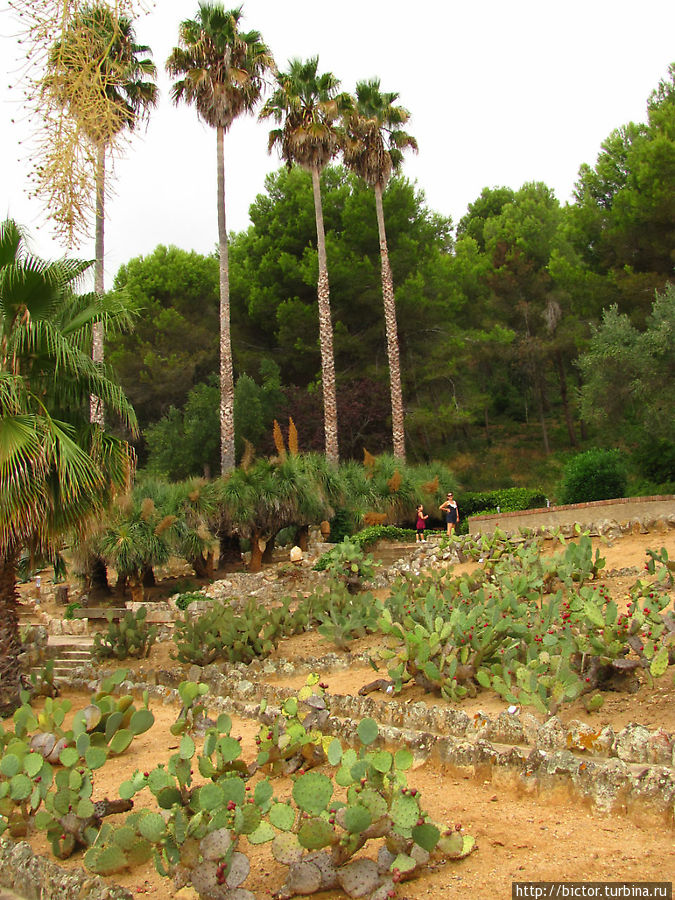 Сады Пинья де Роса Бланес, Испания