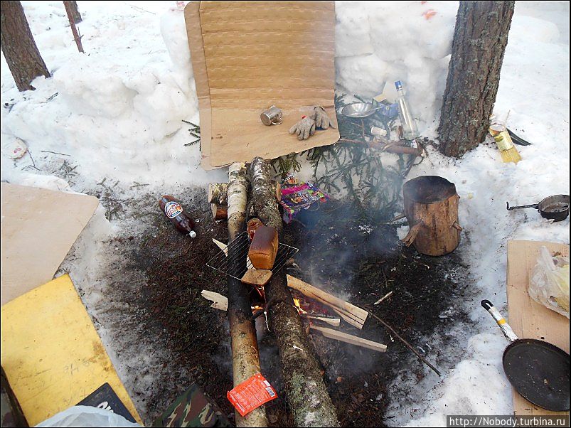 Зимняя Эльба в Ижицах. Зачем? Валдай, Россия