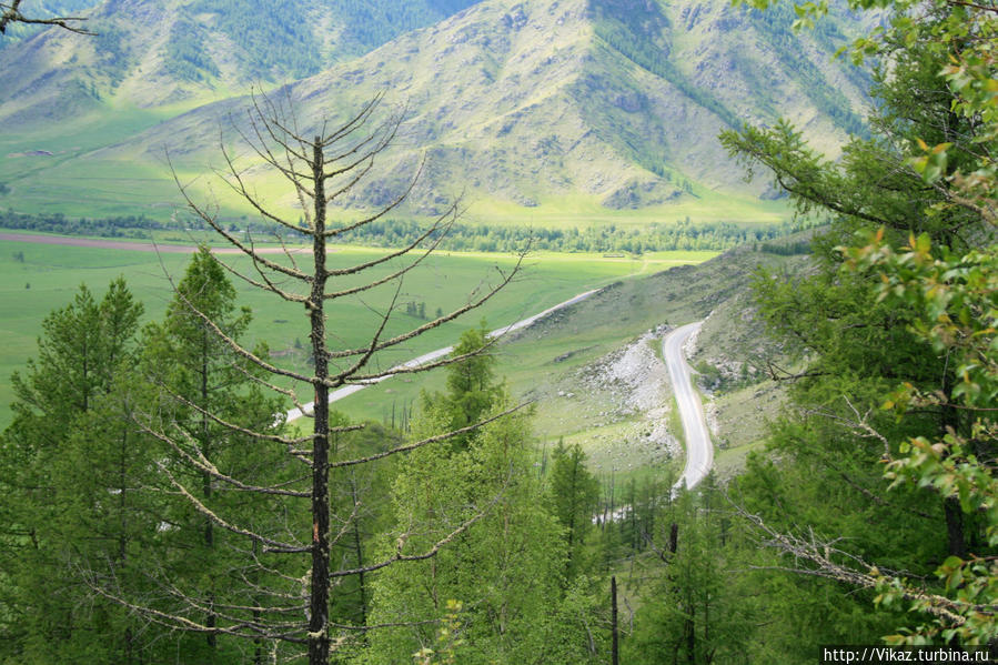 Фото сделано со старой дороги перевала Чике-Таман Перевал Кату-Ярык, Россия