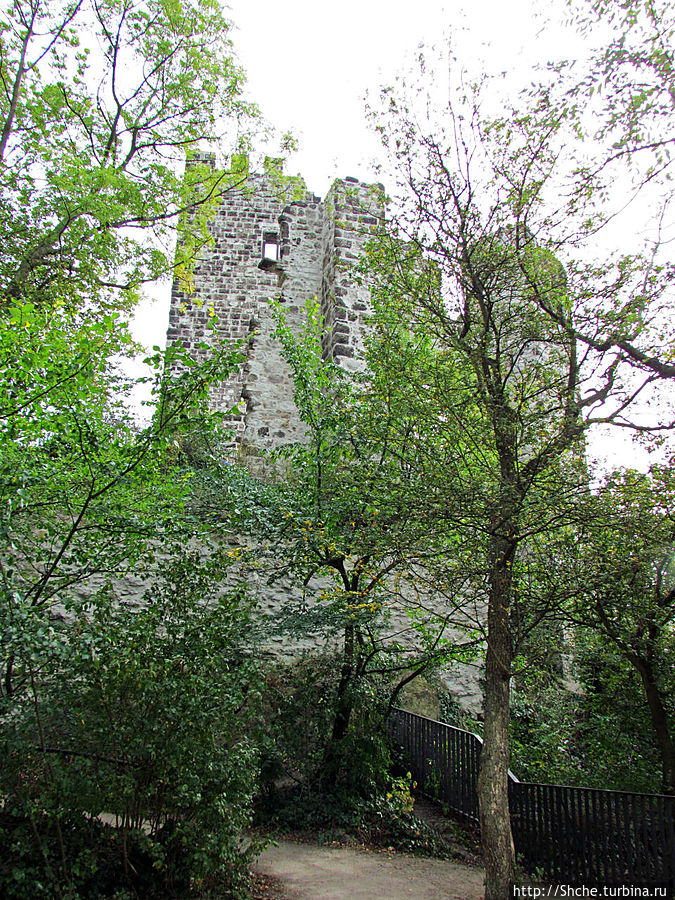 Руины замка Драхенфельс на вершине Скалы Дракона Drachenfels Кёнигсвинтер, Германия