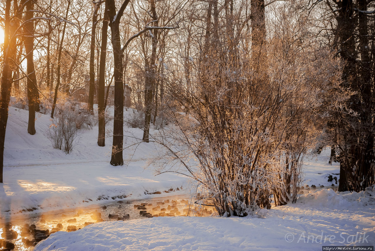 Лыжная трасса в Парке Победы Рига, Латвия