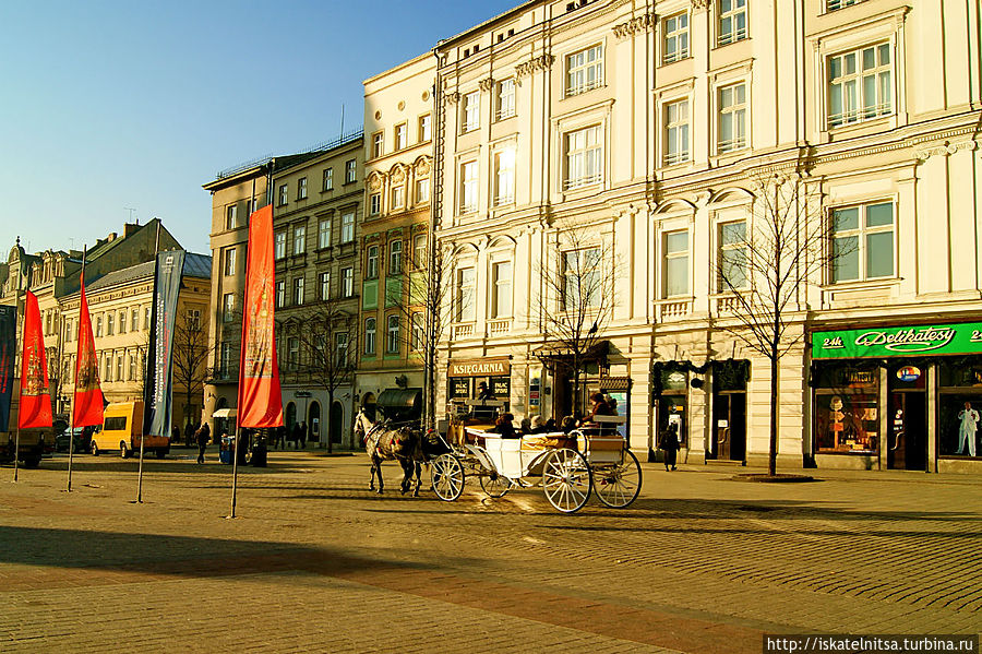 День в Кракове Краков, Польша