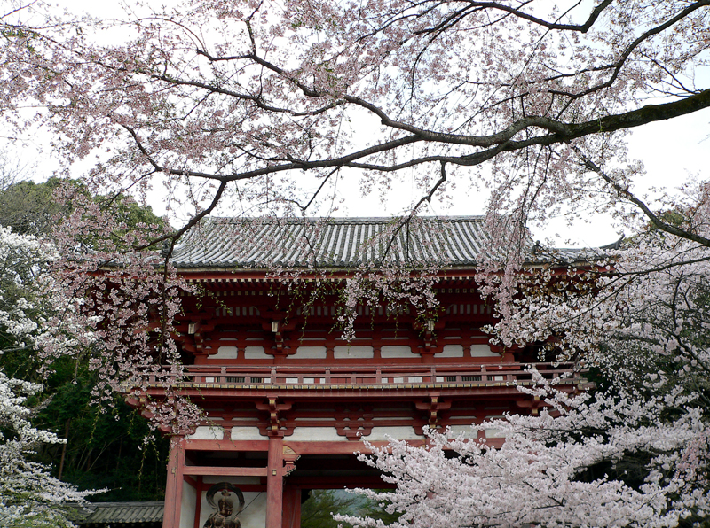Храмовый комплекс Дайгодзи Киото, Япония