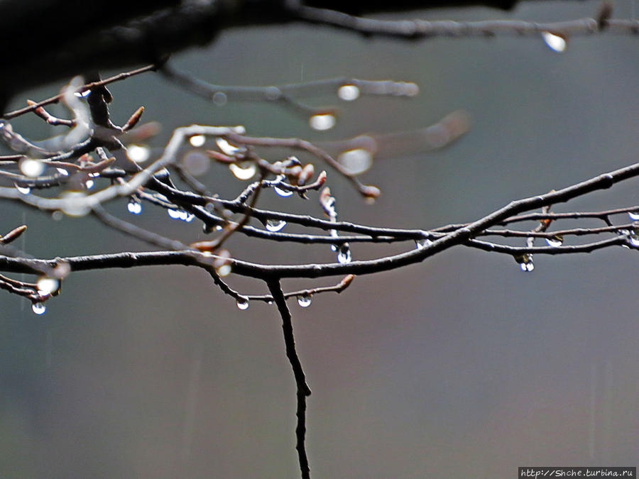 Граненый стакан, вынутый из морозилки — нац. парк Алтындере Национальный парк Алтындере, Турция