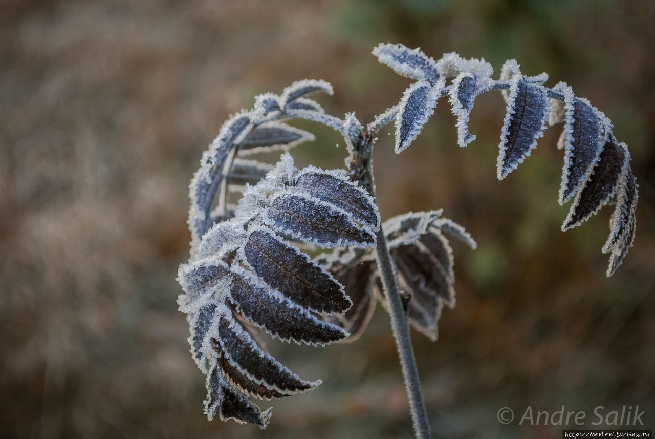 Изморозь Рига, Латвия