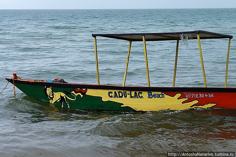 Афро-Байкал Бужумбура, Бурунди