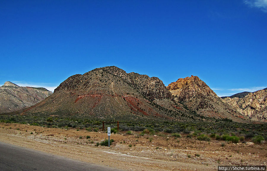 Долина Смерти. Путь из Вегаса — горы и деревья Джошуа Штат Невада, CША