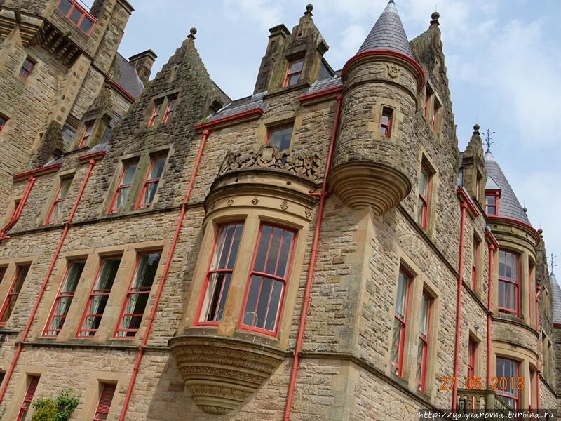 Белфастский замок кота Белфаст, Великобритания
