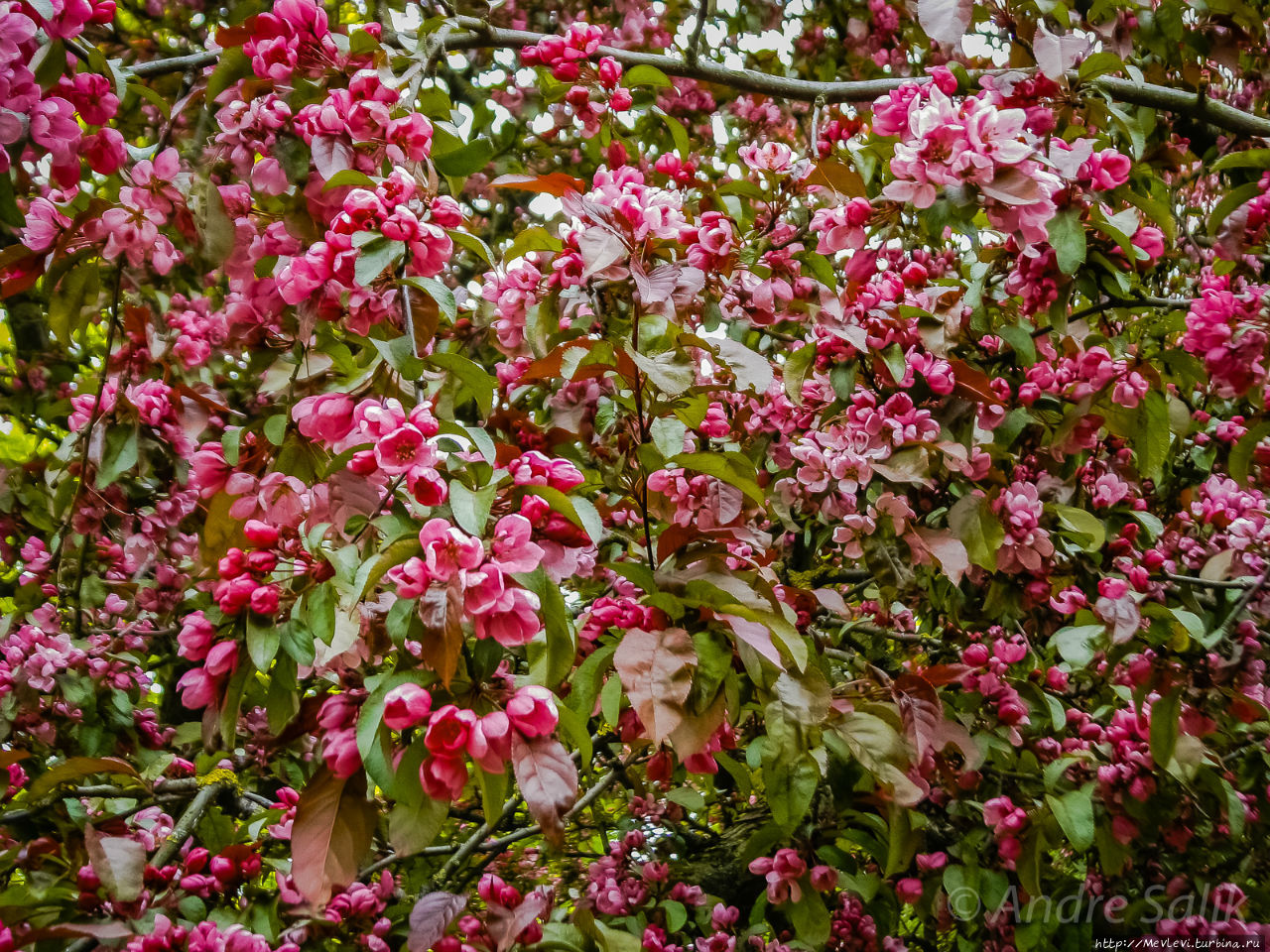 Весенние фотографии из Риги Рига, Латвия