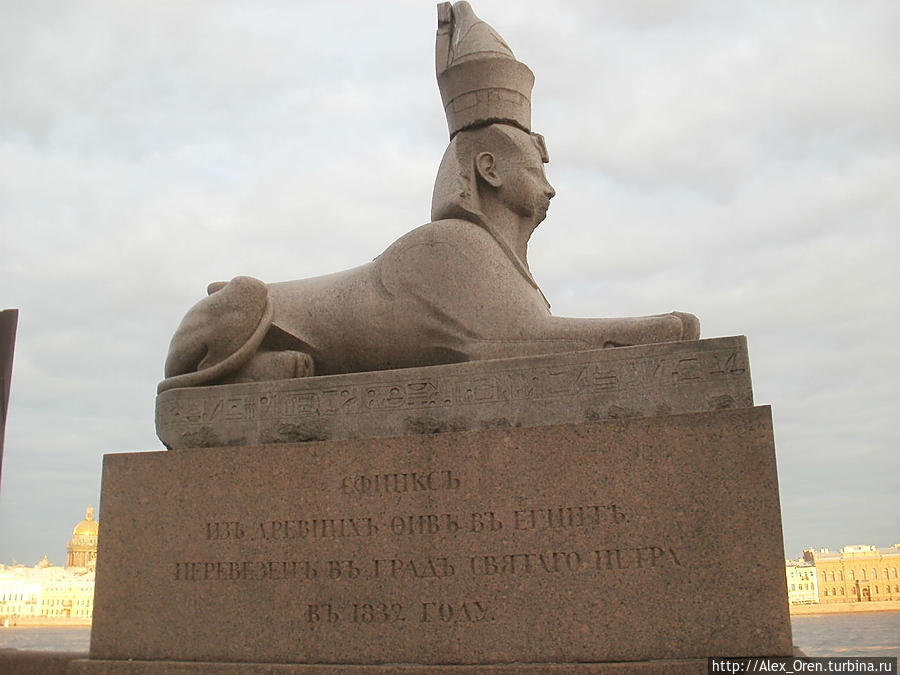 Перед зданием Академии на набережной сначала хотели установить коней Клодта, выпускника Академии. Но в Египте были куплены сфинксы. Куда же их поставить — конечно перед Академией. А кони на Аничков мост.