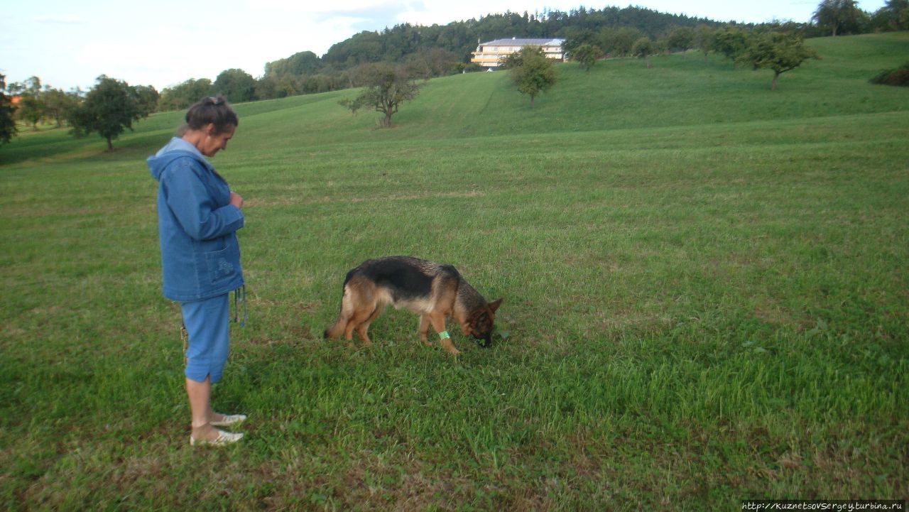 Зигер в Ульме Ульм, Германия Зигер в Ульме Ульм, Германия
