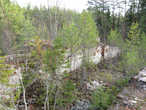 Развалины кирпичного завода, сьеденые лесом