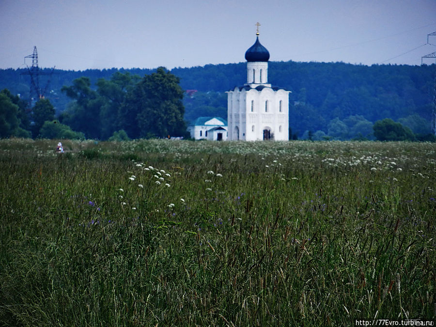 Церковь Покрова на Нерли Россия