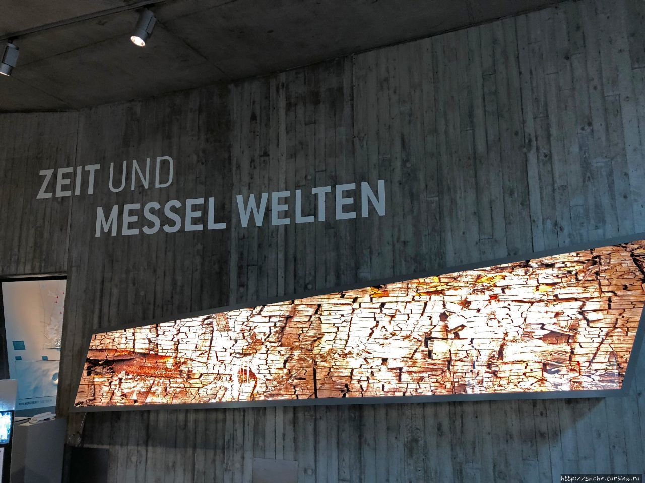 Карьер окаменелостей Мессель (музей) Мессель, Германия