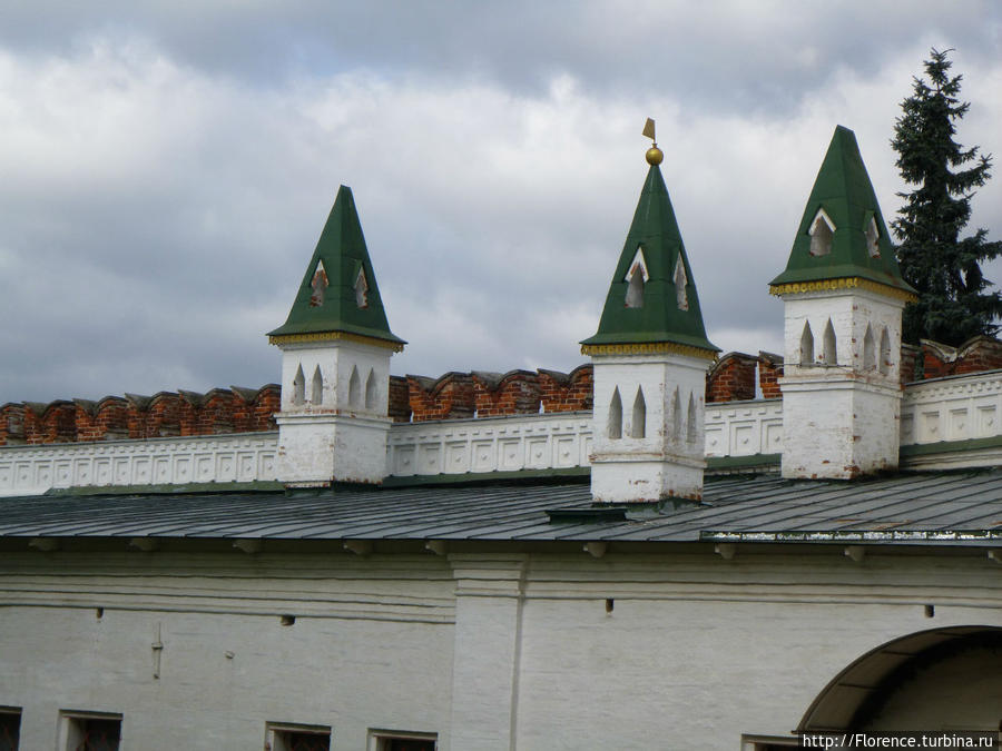 Осень как наркотик. Новодевичий монастырь Москва, Россия