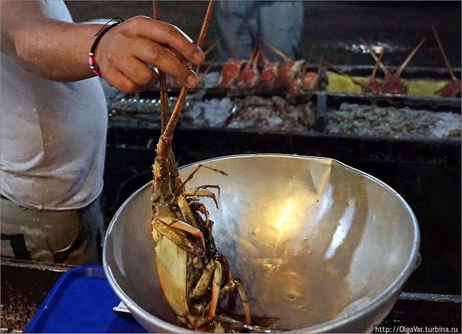 Всем хотелось попробовать именного такого морского гада