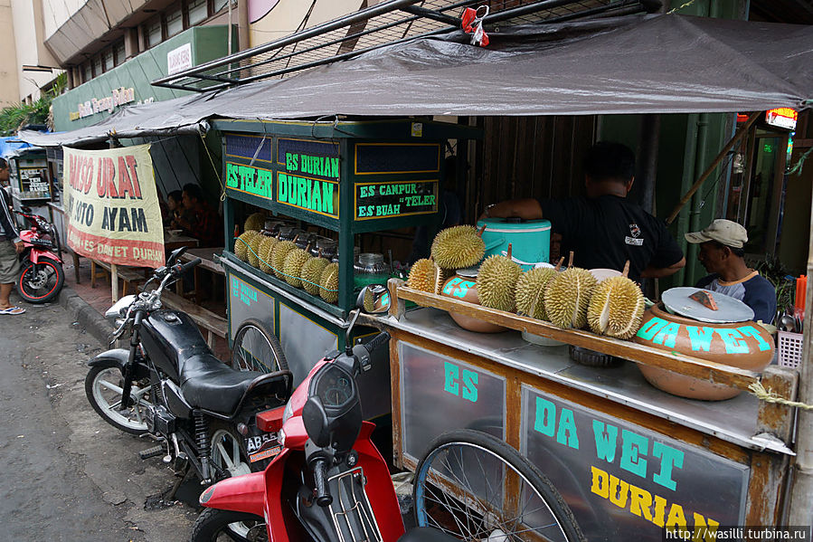 Любимый плод — ДУРИАН. Джокьякарта.