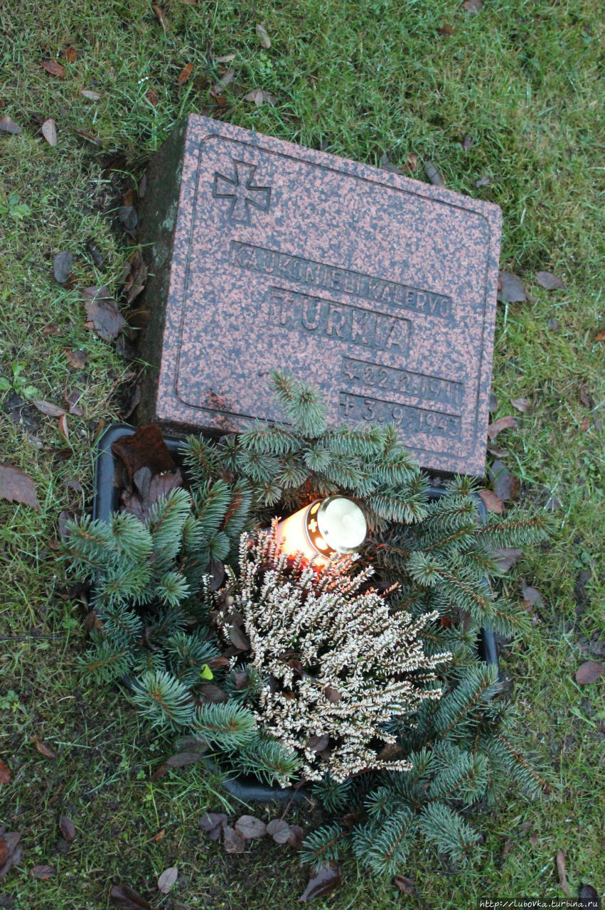 День Независимости Финляндии Финляндия