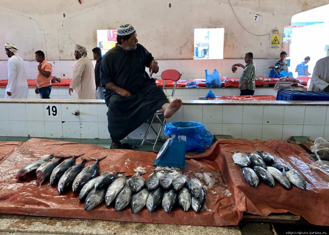 Рынок Синау Синау, Оман
