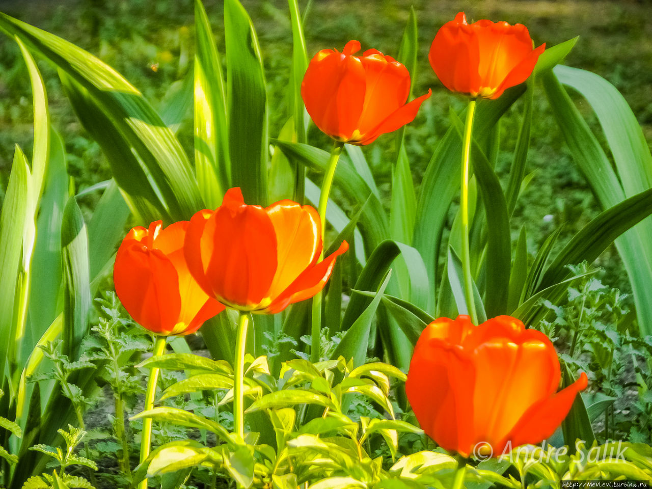 Был месяц май Рига, Латвия