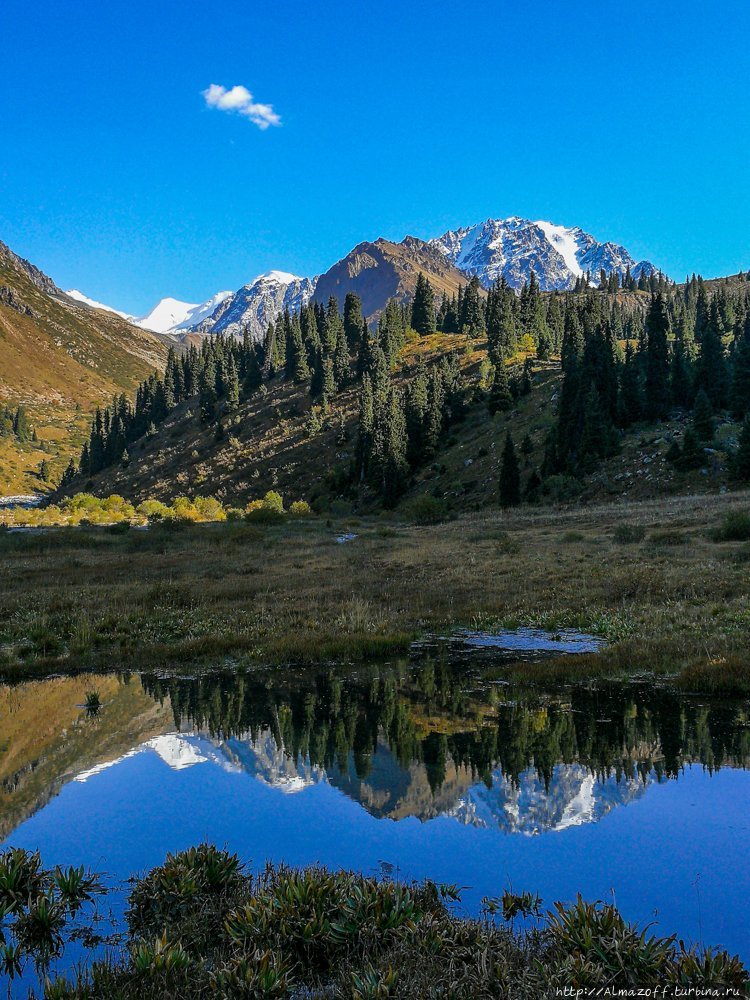 Осенний Левый Талгар Иле-Алатауский Национальный Парк, Казахстан