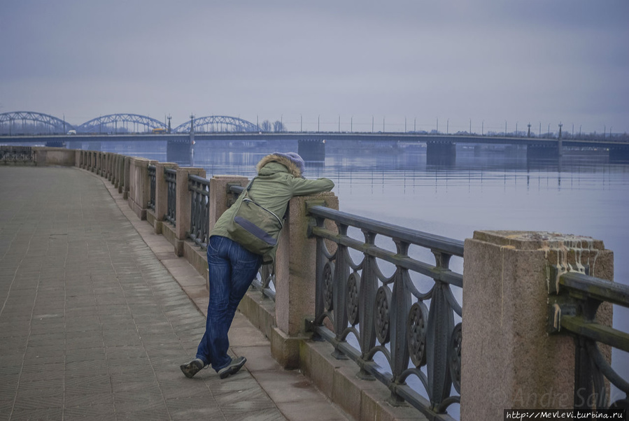 На вантовом мосту над замком президента Рига, Латвия