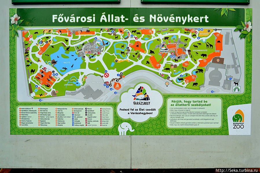Карта зоопарка Будапешт, Венгрия