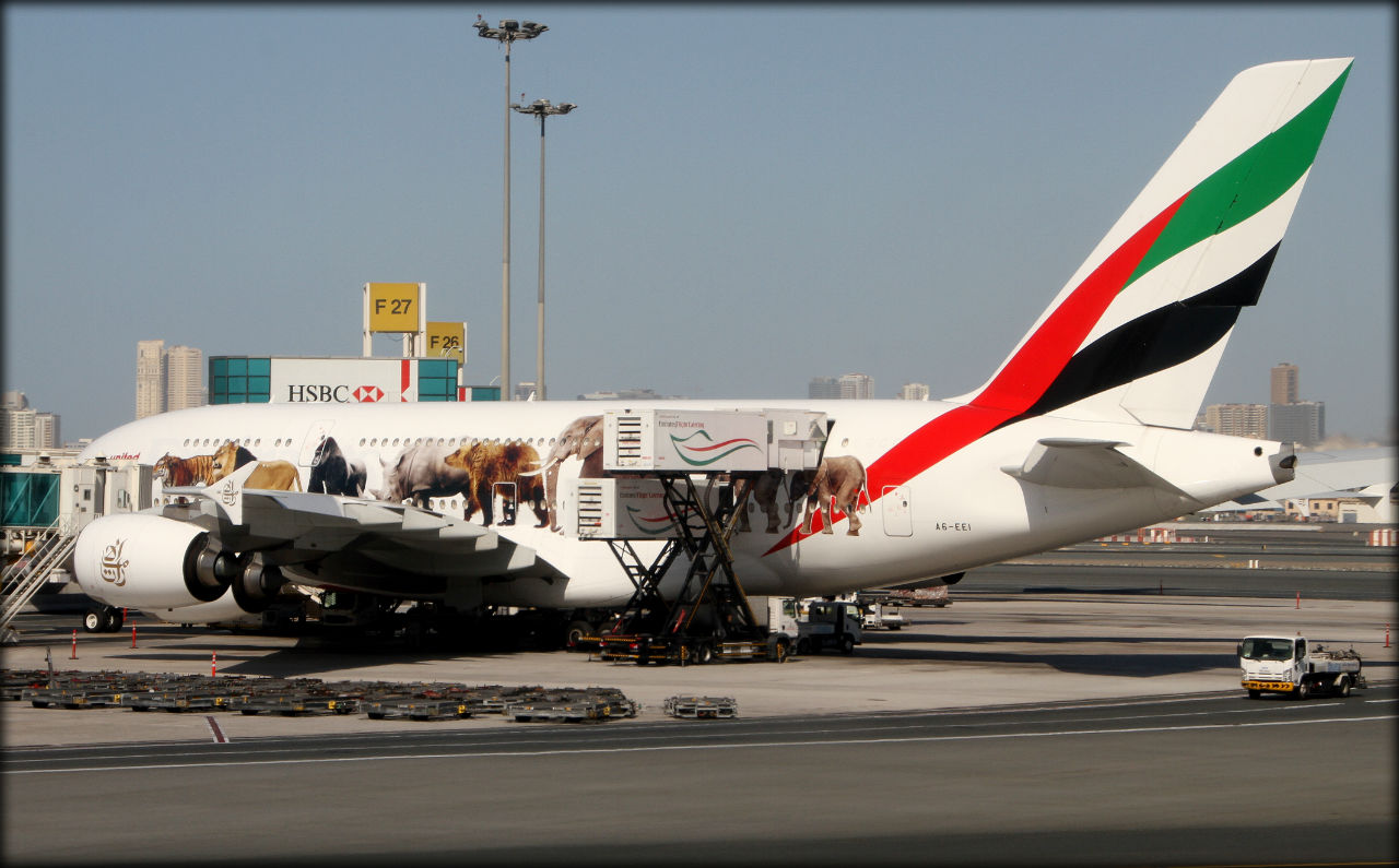 Крылья наших мечтаний