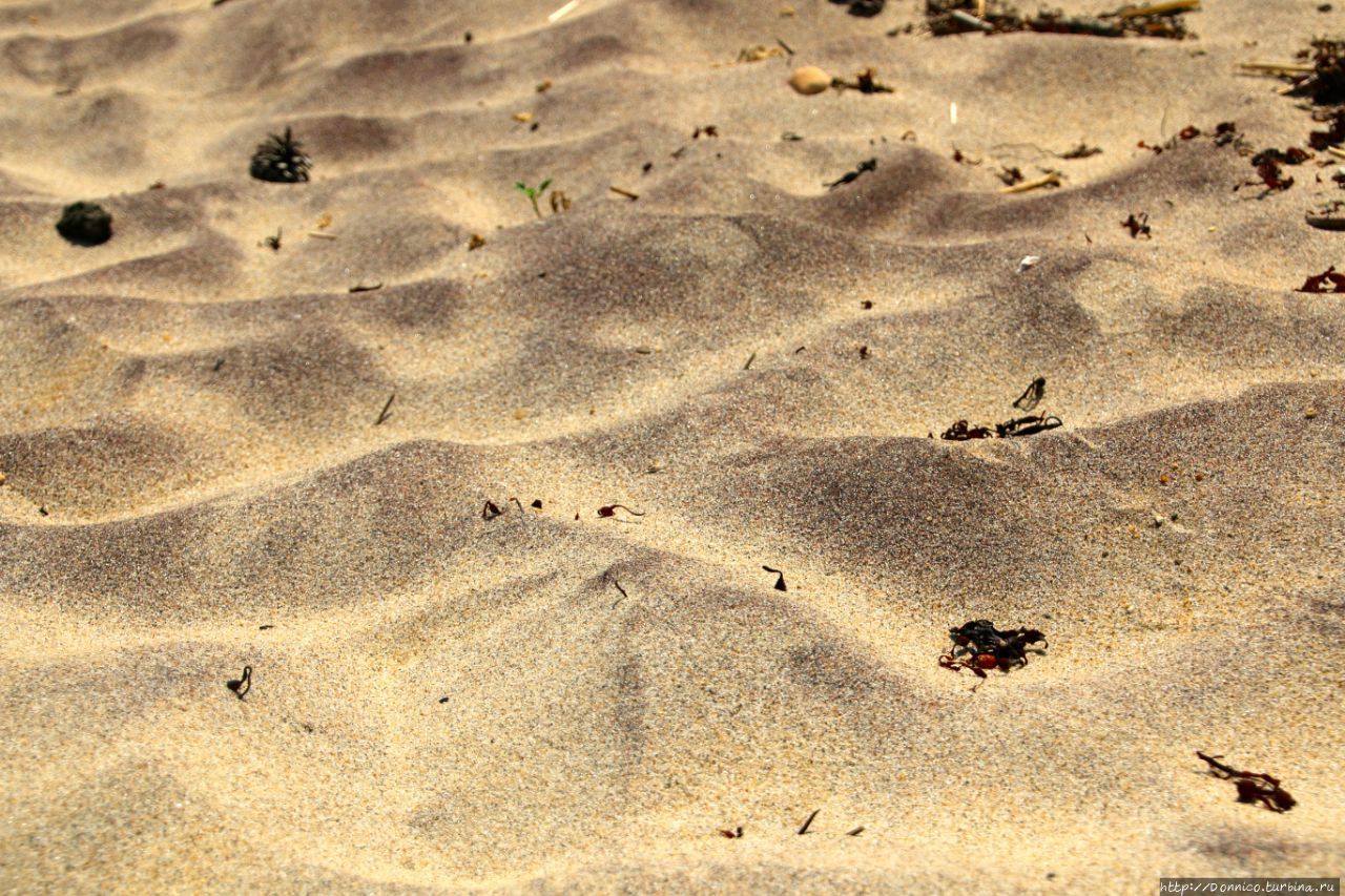 Пляж Маркони Национальное побережье Кейп-Код, CША