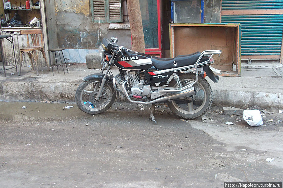 Старый друг Бени-Суэйф, Египет