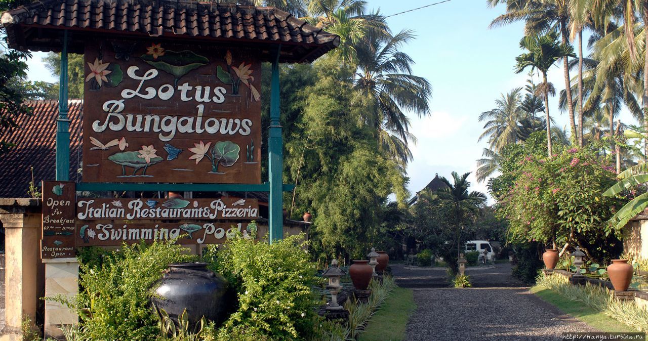 Отель Lotus Bungalow Кандидаса, Индонезия