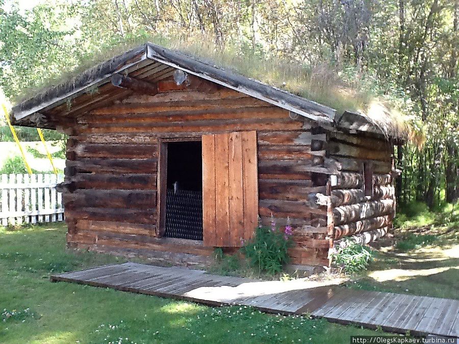 На самый север Северной Америки. Её золотое сердце Территория Юкон, Канада