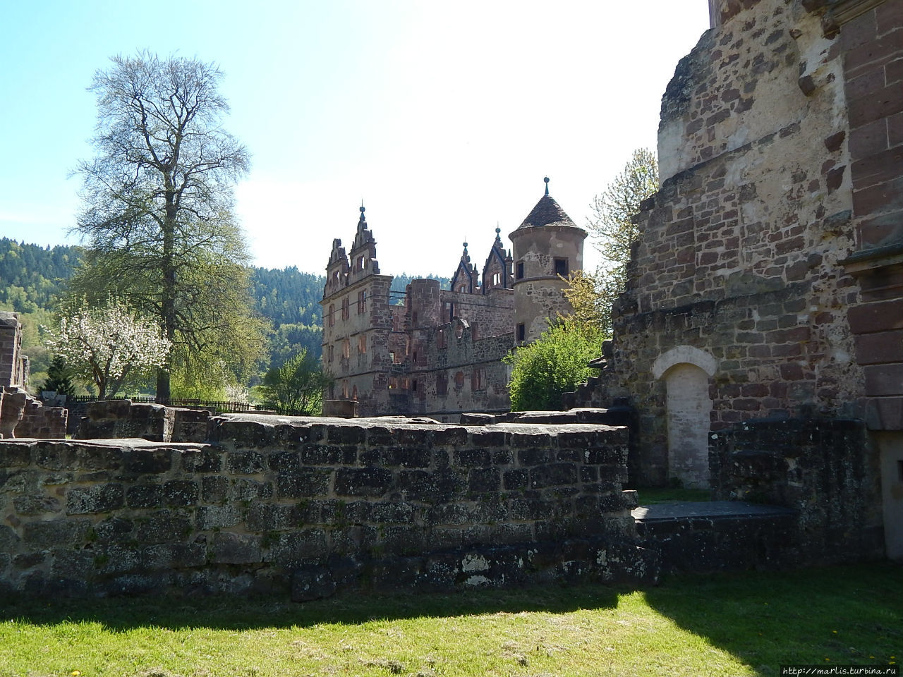 Аббатство Хирзау / Kloster Hirsau