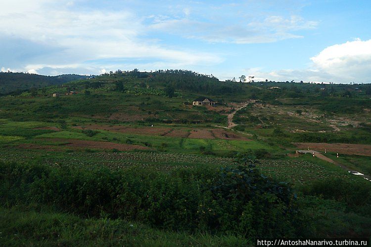 На зеленых холмах страны Ру Руанда