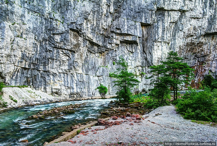Рица в серебре и зелени Рица Реликтовый Национальный Парк, Абхазия