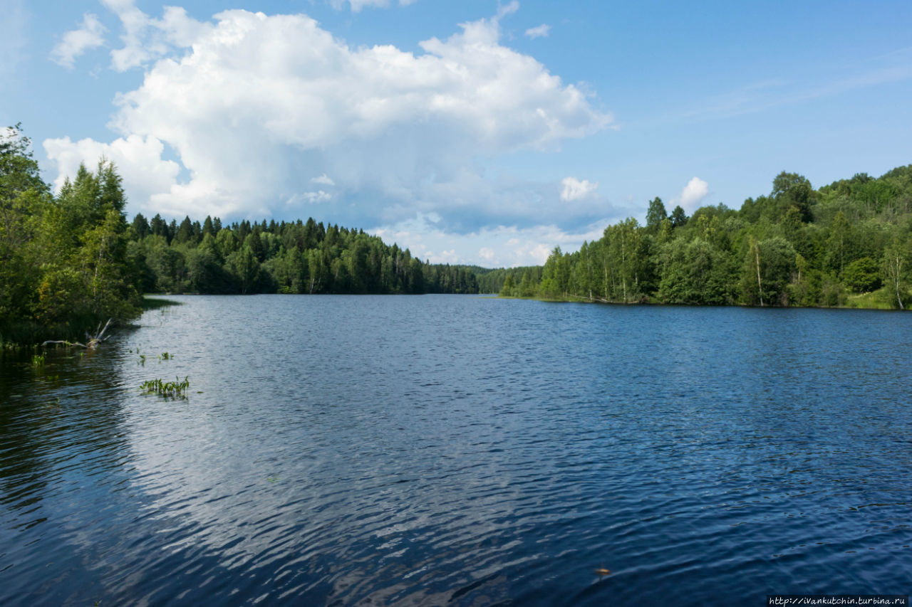 Янисйоки, заячья речка Ляскеля, Россия