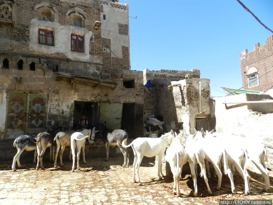 Восточный базар или музей под открытым небом Сана, Йемен