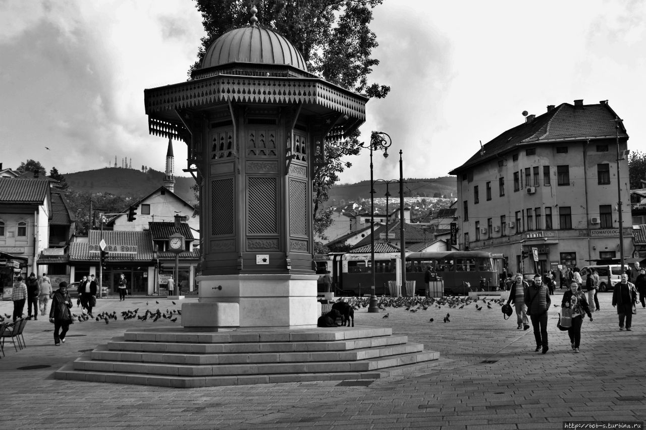 Фонтан на Башчаршие (она же Голубиная площадь) —  Символ Сараево 
Сегодня это наиболее посещаемое туристское место, где находятся сразу несколько важных исторических объектов города. Здесь вы можете посетить мечеть Гази-бея, построенную в 1530 году, увидеть часовую башню города