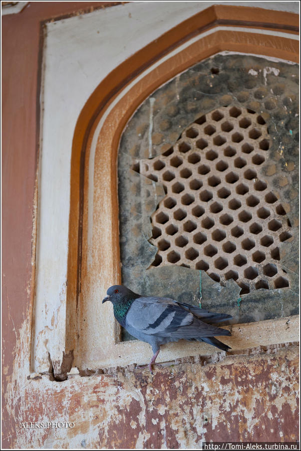 Типичные раджастанские окна...
* Джайпур, Индия